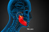Jaw Popping: Causes, Solutions, and How Aligner32 Can Help